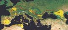 Migraciones alanas y vándalas en los siglos IV y V. Línea: migraciones; (...)