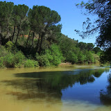 Santa María de Trassierra