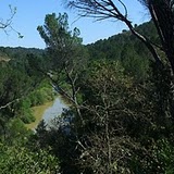 Santa María de Trassierra
